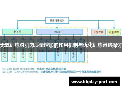无氧训练对肌肉质量增加的作用机制与优化训练策略探讨
