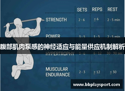 腹部肌肉泵感的神经适应与能量供应机制解析